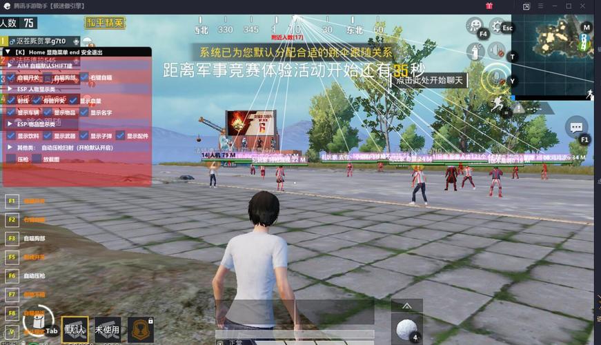 和平精英【EAD内部】辅助